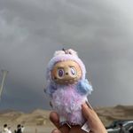 鹤鹤12345