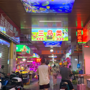 20230723 生猛