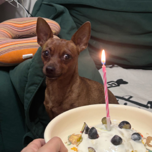 Vol.1 创业失败！班也上不了一点！休息一下真的没事哒！