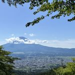喵小茜