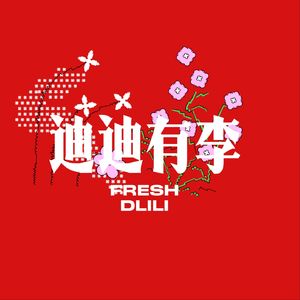 迪迪有李