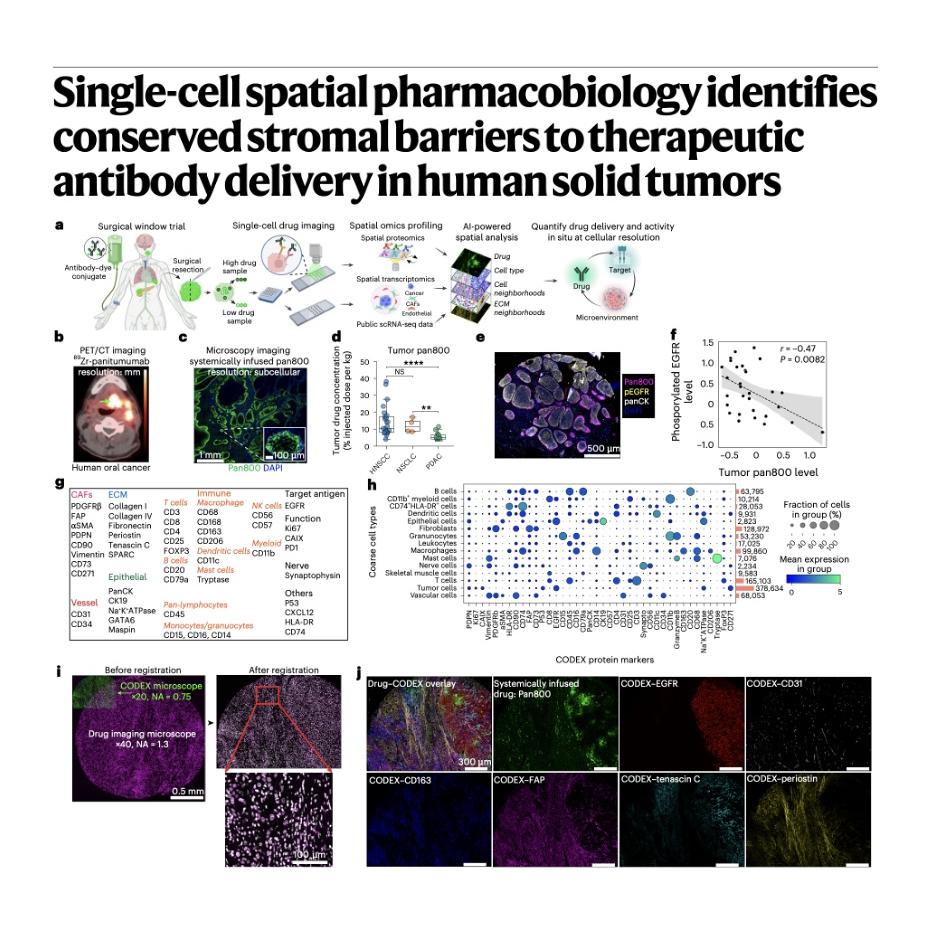 1195-Spatial Pharmacobiology of Antibody Delivery episode artwork