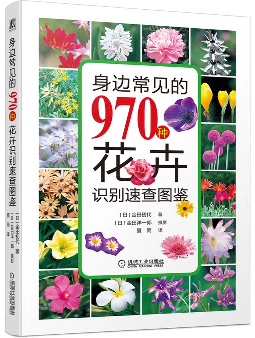 身边常见的970种花卉识别速查图鉴