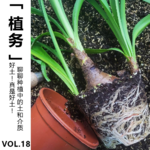 Vol.18【植务】好土！真是好土！聊聊种植中的土和介质