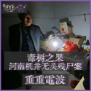 E32.(1/2)毒树之果：河南机井无头残尸案