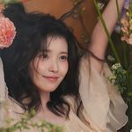 与内耗和解