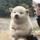 奇奇怪怪_cBmY