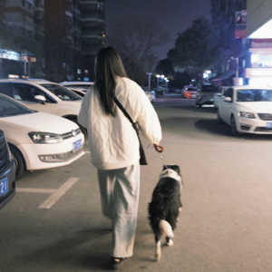 摸索出自己的风格需要大量尝试和试错 📅 Feb.18