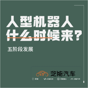 人形机器人2050：技术演进五阶段