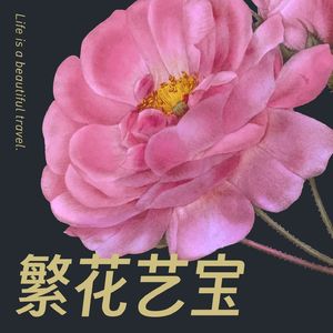 繁花艺宝