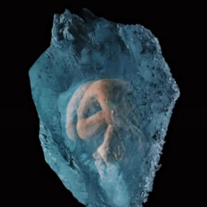 玄学夜话009｜原生家庭，紫微斗数看到的凄惨童年