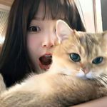 小兔不吃胡萝卜