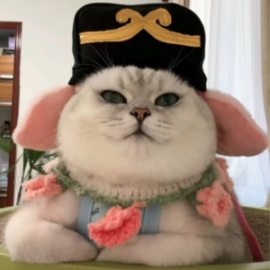 资本市场舆情解读【9月25日】