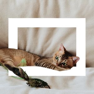 podcaster-avatar