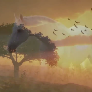 [SR][Cello]5.美妙的浪漫音乐 • 放松的音乐，吉他音乐，小提琴音乐，大提琴音乐，钢琴音乐