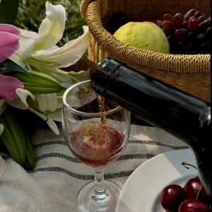 VOL555.电影《野果之歌》：聆听陕南汉中市镇巴县的诗意回响，邂逅大巴山的旖旎风光。