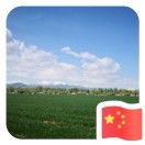 奔跑的小峻