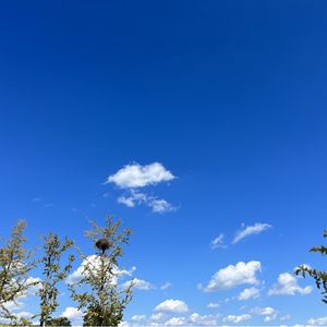 podcaster-avatar