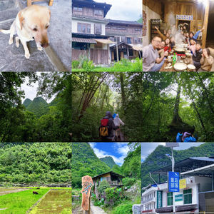 贵州荔波:吊脚楼民宿、原始森林、艺术家部落,拿捏五一小众旅游|EP9