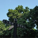 SoyLEI
