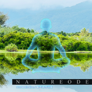 闭气冥想[高级]·湿地纯氧