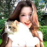 锦鲤苏苏