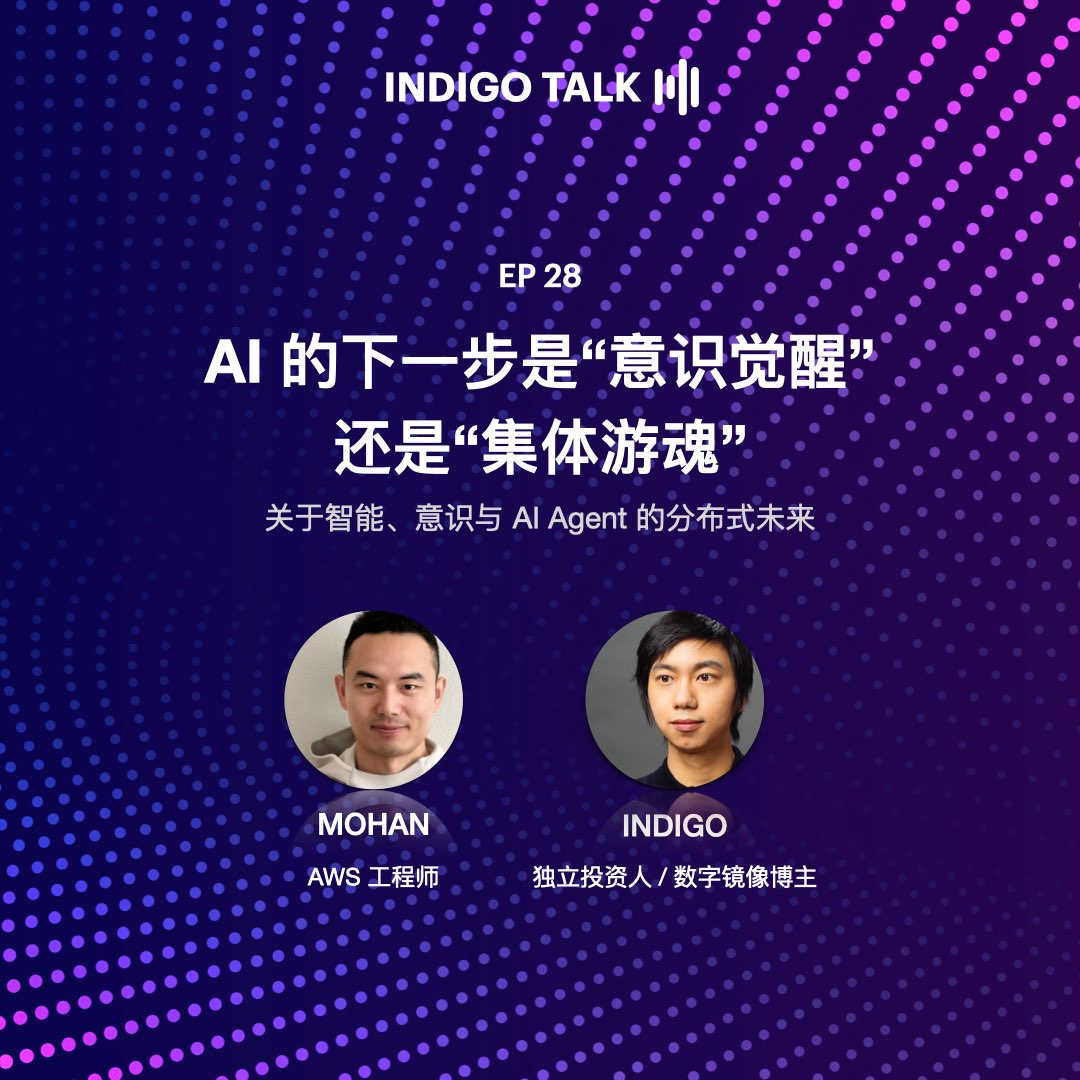 cover of episode AI 的下一步是“意识觉醒”还是“集体游魂”？/ INDIGO TALK - EP28