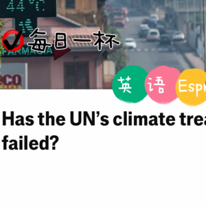【345】联合国气候条约到底有用没？