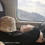 小W_zkW8