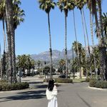 Vikki_努力更新中