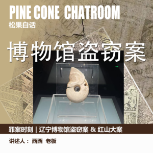 38.罪案时刻|都是一百元惹得“祸”：博物馆盗窃案&红山盗墓案