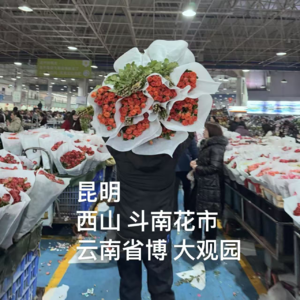 44-云南｜上西山下斗南，没有阳光的昆明我们在云南省博里找到了温暖