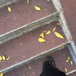 总而言之呢