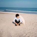 海鷗島綠心芭樂