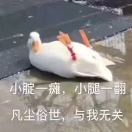 翊纾