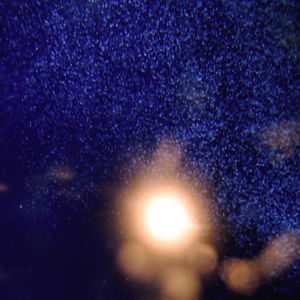 瑞雪一颗糖