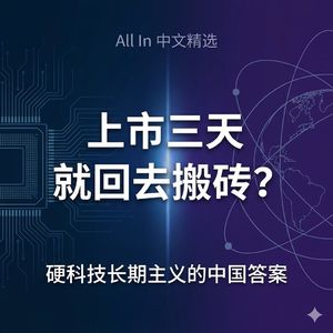 上市三天就回去搬砖？硬科技的长期主义，在中国走得通吗？