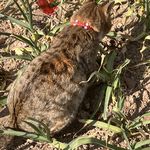 搞不懂你们这些人