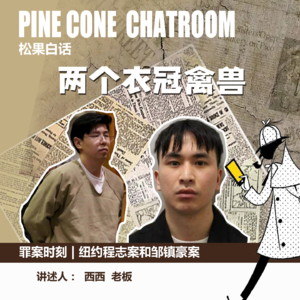 76.罪案时刻|两个衣冠禽兽：纽约程志案和邹镇豪案