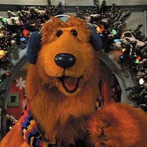 霸王龙🦖的闲聊