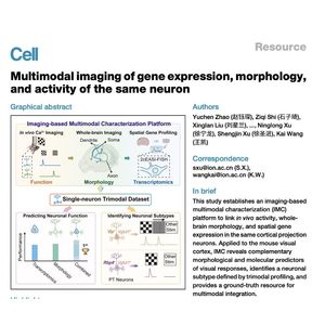 1309-Trimodal Imaging of Neuronal Gene Expression