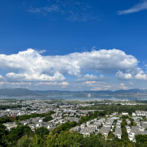 从提示词角度分析大模型应用进阶