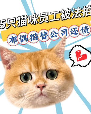公司倒闭,5只“猫咪员工”工牌被摘后还被法拍还债!打工的尽头,原来是被打包卖掉?