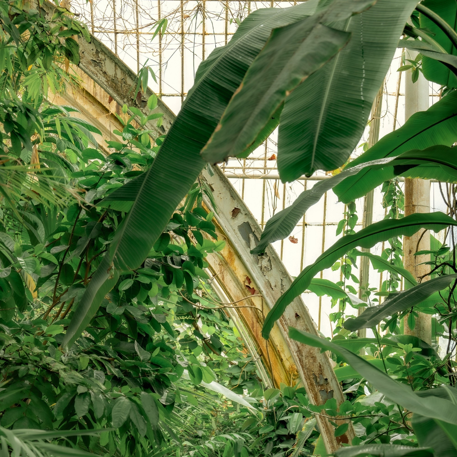 E047 OnlyFans和MBTI背后，人类对“被理解”的极度渴望- 虚实之间True Imagination | 小宇宙- 听播客，上小宇宙