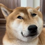 赞法德的其中一个头