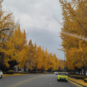 80.两仪心理疗法,拆解生活中的“怨”|从《再见爱人4》到《出走的决心》