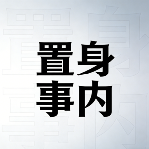 读懂中国经济从读懂政府开始《置身事内》