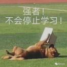 小小小_Y1vM
