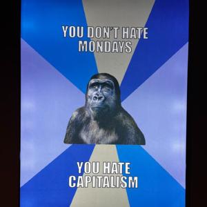 EP004 职场小白花晋升老油条的血泪史