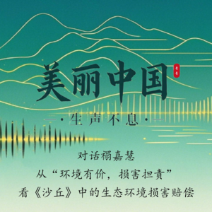 E2对话禤嘉慧|从“环境有价，损害担责”看《沙丘》中的生态环境损害赔偿